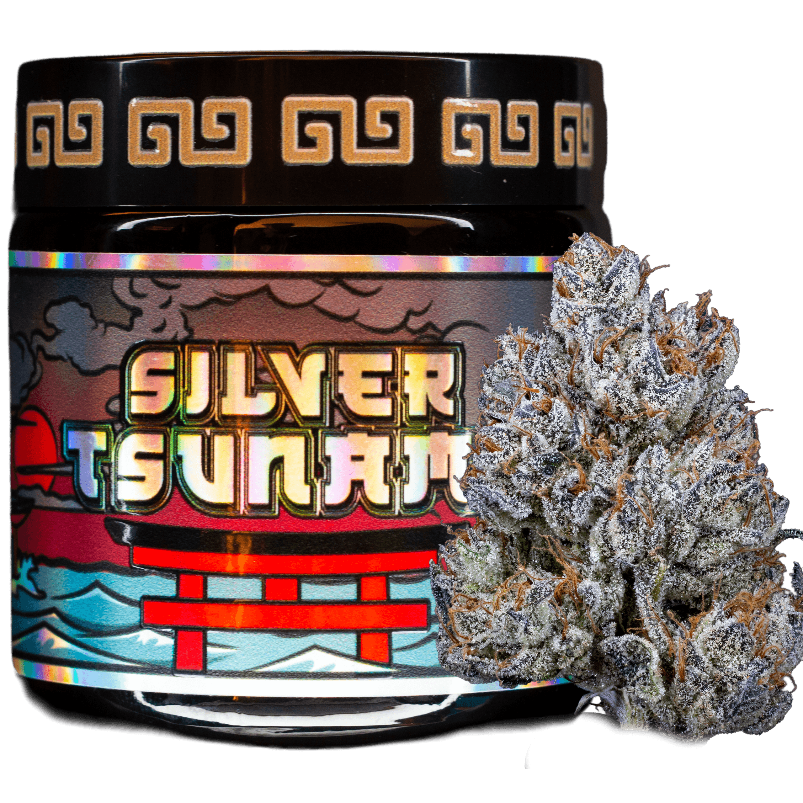 SILVER TSUNAMI